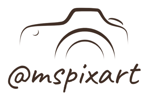 mspixart-logo